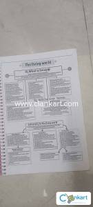 11th bio mindmap NEET