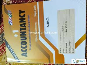 +1 ACCOUNTANCY PROJECT BOOK