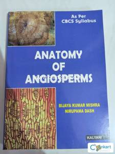 ANATOMY OF ANGIOSPERMS