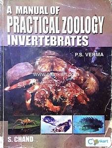 A Manual of Practical Zoology Invertebrates