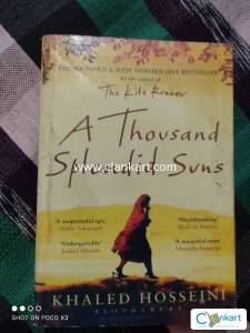 A Thousand splendid sun