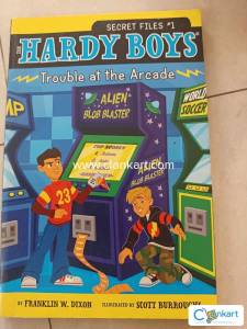 A summer Hardy Boys Adventure