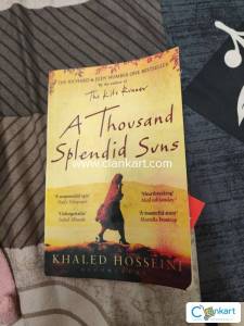 A thousand splendid suns