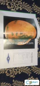 A world of ideas SEE ALL THERE IS TO KNOW