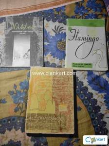 Accountancy company ncrt , vistas and flamingo class 12 combo pack