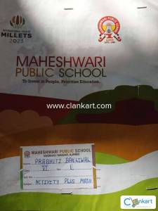 Activity Plus in Mathematics
