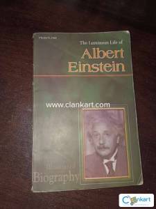 Albert Einstein Novel