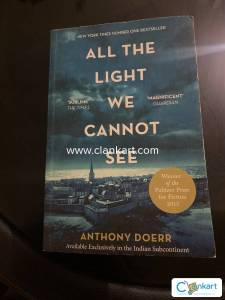 All the light we cannot see