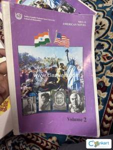 American novel (meg11)