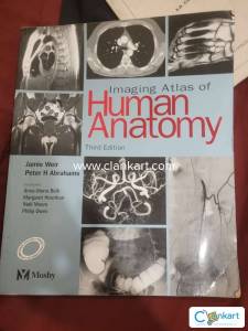 Anatomy Atlas
