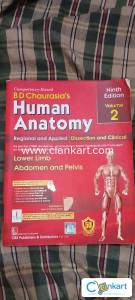 Anatomy BD chaurasia's volume 2