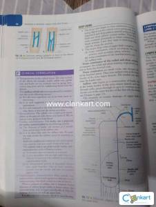 Anatomy abdomen and lower limb mbbs