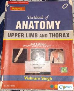 Anatomy upper limb and thorax