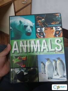Animals book for children