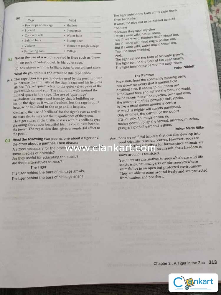 Arihant (Jainism) visual data 6