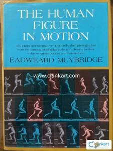 Art/Research book on Human Body Movement