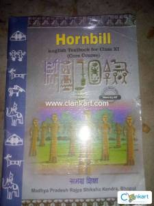 Art book 11th class