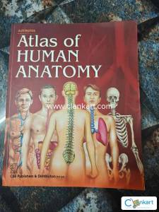 Atlas of Human Anatomy  Essential Visual Guide for 1st Year MBBS