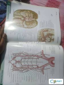 Atlas of human anatomy 7th edition Frank h netter MD international edi