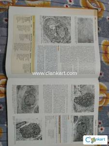 BDS books for 1st year
