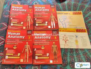 BD Chaurasia Human Anatomy 8th Edition Full Set (Vol 1-4) + Charts  L