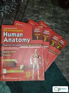 BD chaurasia's anatomy