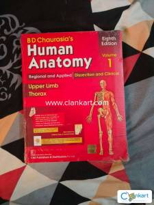 Human anatomy part 1