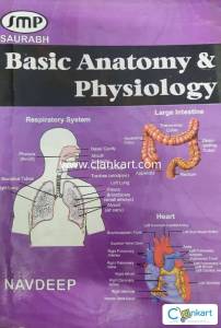Basic Anatomy