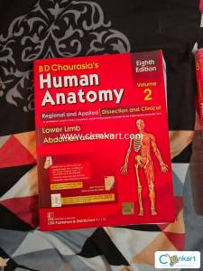 Human anatomy part 2