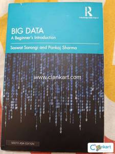 Big data: a beginner's introduction