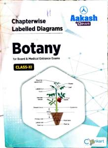 Biology diagram plus mindmap books with bullet points at cheaper rates