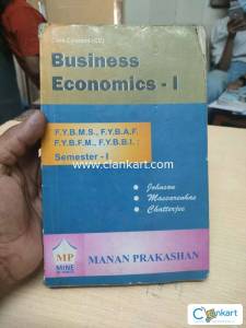 Business Economics