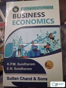 Business Economics