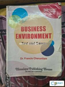 Business Environment