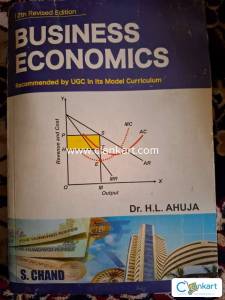 Business economics