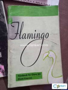 CBSE 12 ENGLISH FLAMINGO AND VISTAS (+cbse study material and Q paper)