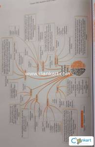 CBSE question bank class 12th English core ( Flamingo + vistas)