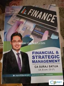 CS Executive Financial and strategic management