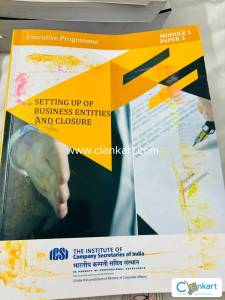 CS executive