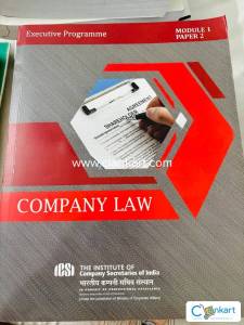 CS executive