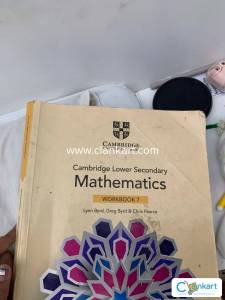 Cambridge Math workbook