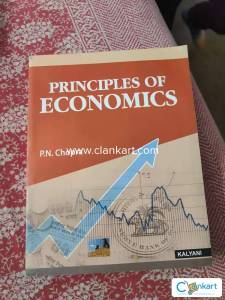 Civil Engineering principles of economics