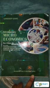 Class 11 Introductory Microeconomics