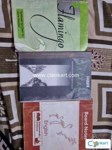 Class 12 NCERT combo (Flamingo, Vistas, Help book of both books)