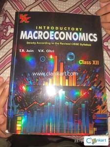 Class 12 economic book