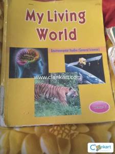 Class 5  book