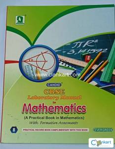 Class 8th maths lab manual