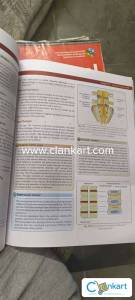 Clinical anatomy