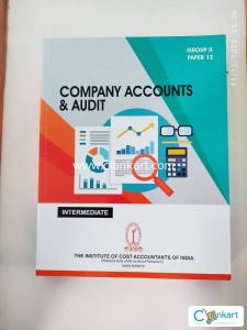 Company Accounts and Audit