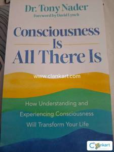 Consciousness is all there is